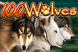 100 Wolves