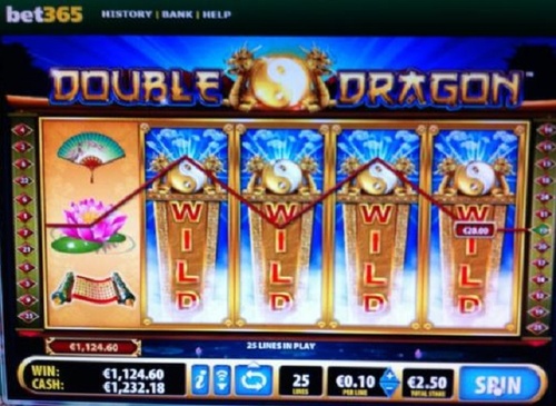 Double Dragon slot / 1