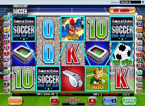 Sensible soccer slot / 1