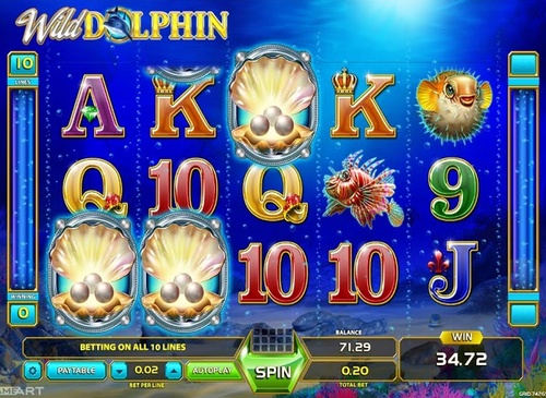 Wild dolphin / 8