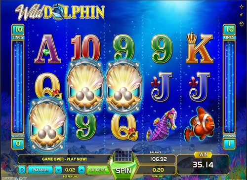 Wild dolphin / 11
