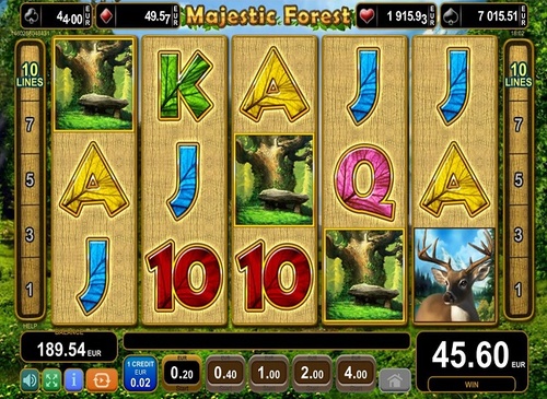 Majestic forest / 11