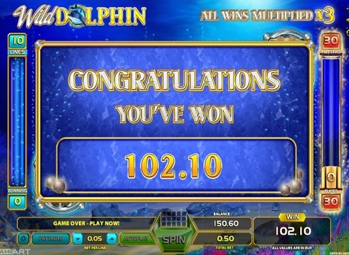 Wild dolphin / 12