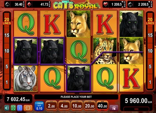 Cats royal / 1