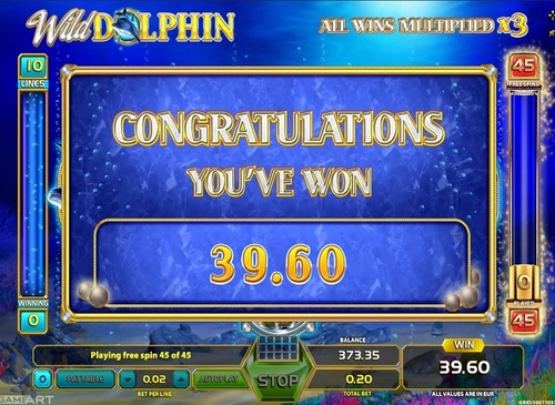 Wild dolphin / 14