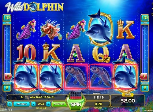Wild dolphin / 15