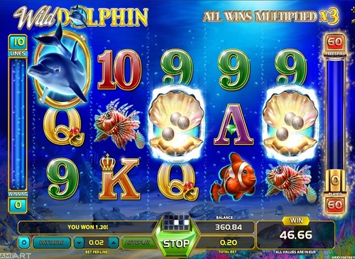 Wild dolphin / 16