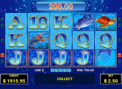 Blue dolphin / 6