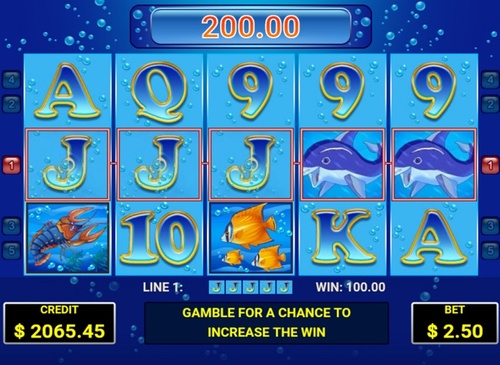 Blue dolphin / 7