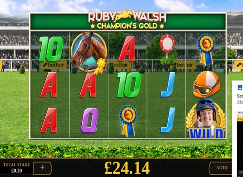 Ruby Welsh - Champion's gold / 1