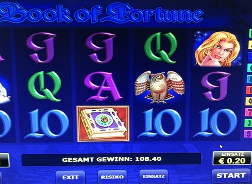 Book of fortune / 3