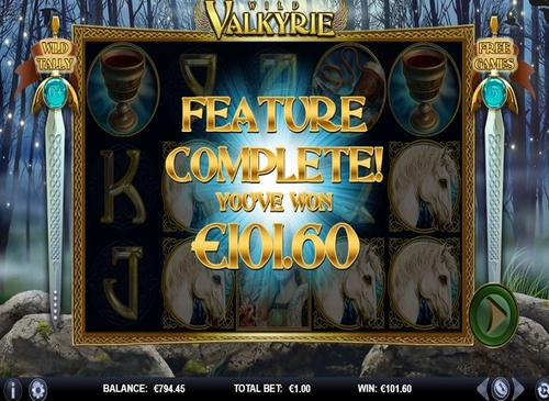 Wild Valkyrie / 1