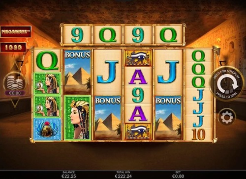 Anubis wild / 1