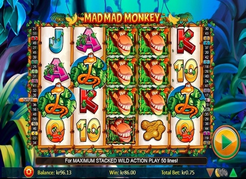 Mad mad monkey / 26