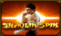 Shaolin Spin