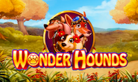 Wonder Hounds