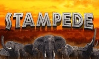 Stampede