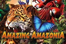 Amazing Amazonia