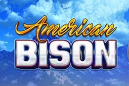 American Bison