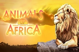Animals Of Africa