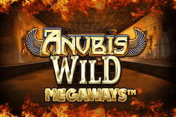Anubis Wild