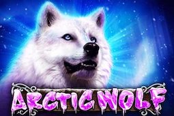 Arctic Wolf