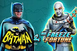 Batman & Mr. Freeze Fortune
