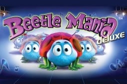 Beetle Mania