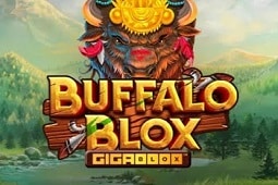 Buffalo Blox Gigablox
