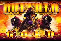 Buffalo Gold