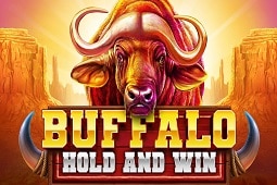 Buffalo Hold And Win