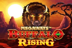 Buffalo Rising Megaways
