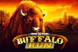 Buffalo Run