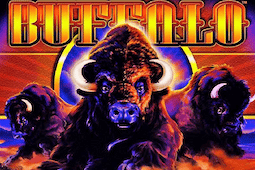 Buffalo
