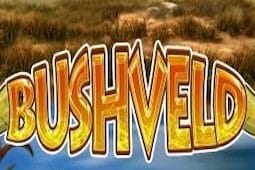 Bushveld