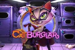 Cat burglar