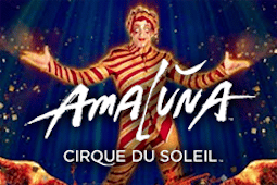 Cirque du Soleil – Amaluna