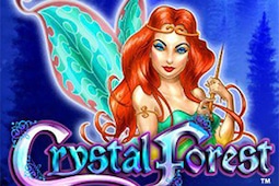 Crystal Forest