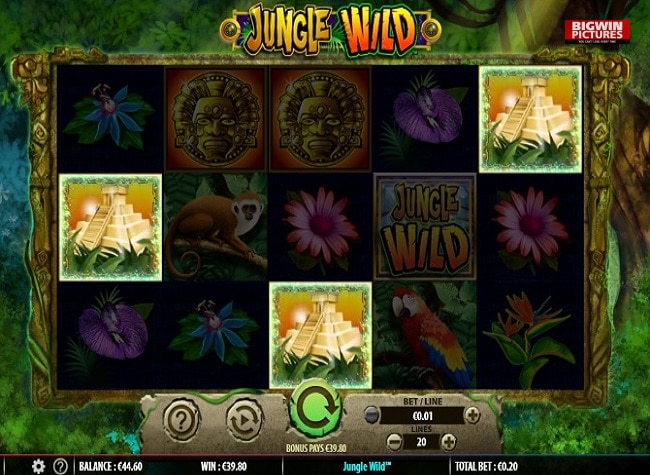 dave jungle wild!