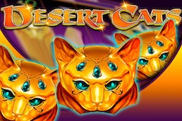 Desert Cats