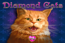 Diamond Cats