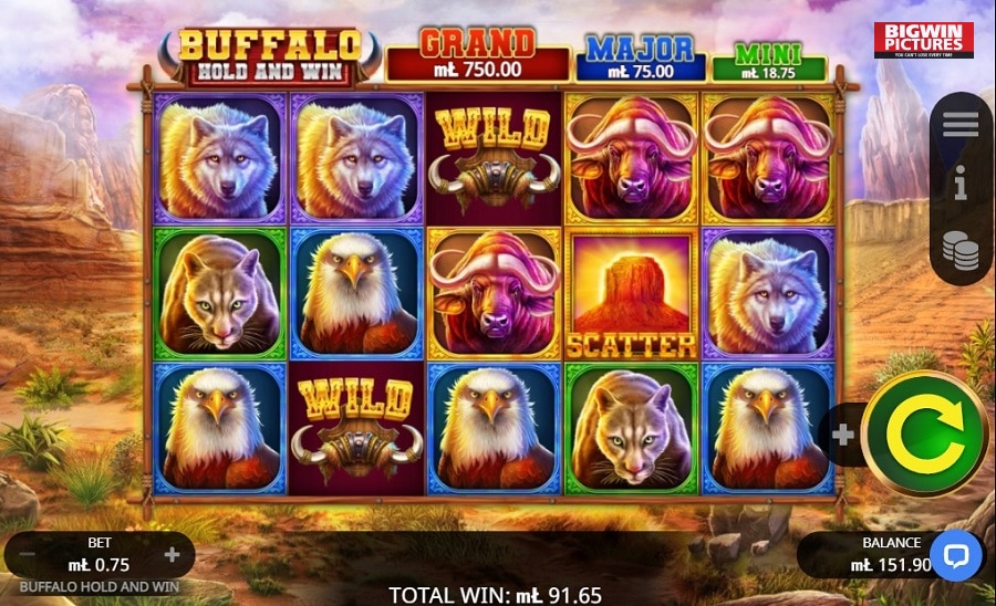 dortmund-buffalowin