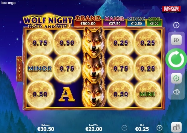 dortmund-wolfnight
