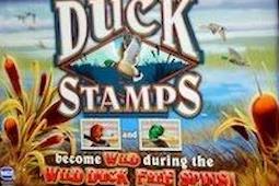 Duck Stamps