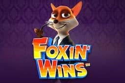 Foxin’ Wins