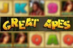 Great Apes