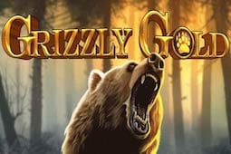 Grizzly Gold