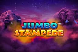 Jumbo Stampede