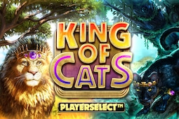 King of Cats Megaways