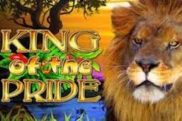King of the Pride